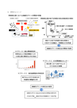 研究のイメージ