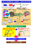 研究のイメージ