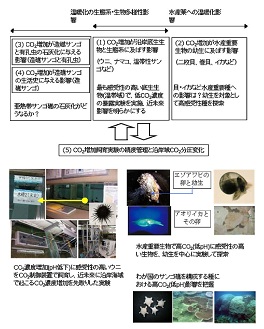 図　研究のイメージ