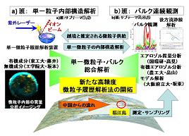 図　研究のイメージ