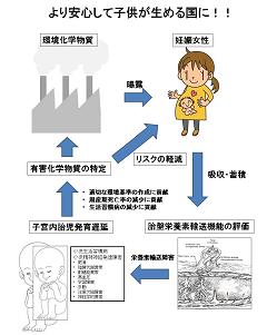 図　研究のイメージ