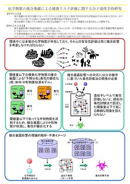 図　研究のイメージ