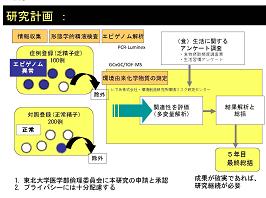 図　研究のイメージ