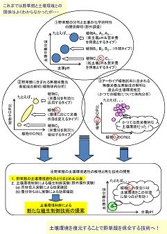 図　研究のイメージ