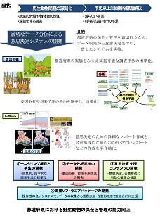 図　研究のイメージ