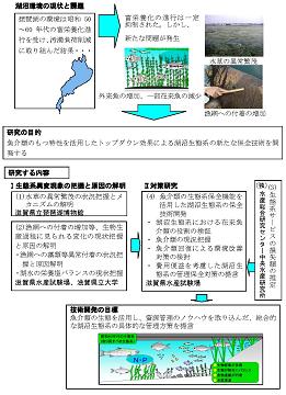 図　研究のイメージ