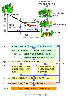 図　研究のイメージ