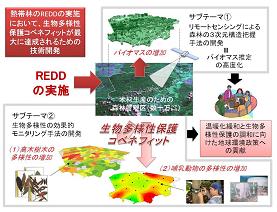 図　研究のイメージ