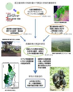 図　研究のイメージ