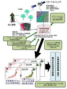 図　研究のイメージ