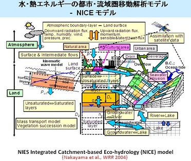 図　研究のイメージ