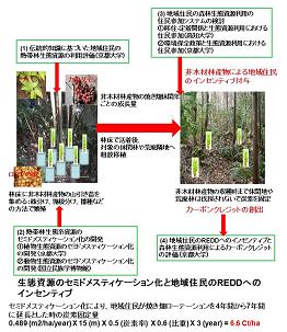 図　研究のイメージ