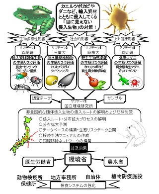 図　研究のイメージ