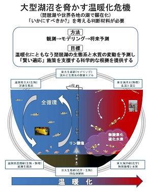 図　研究のイメージ