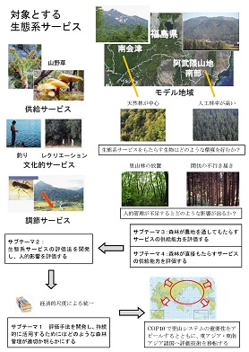 図　研究のイメージ