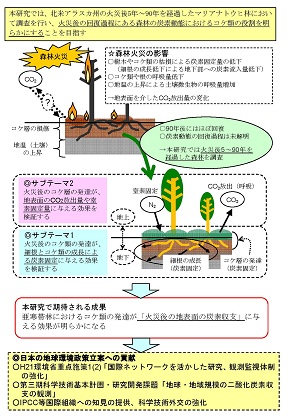 図　研究のイメージ