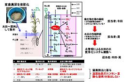 図　研究のイメージ