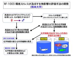 図　研究のイメージ