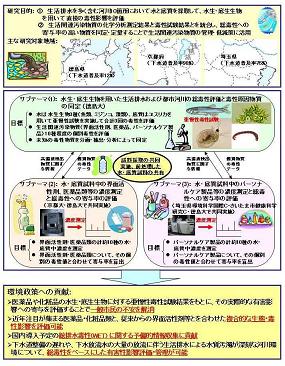 図　研究のイメージ