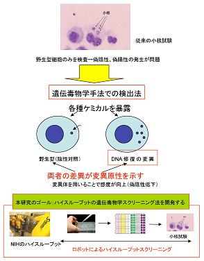 図　研究のイメージ