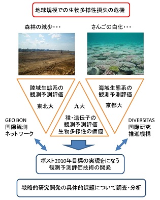 図　研究のイメージ