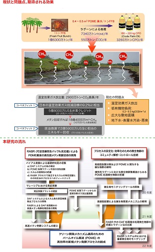 図　研究のイメージ