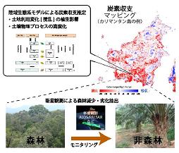 図　研究成果のイメージ