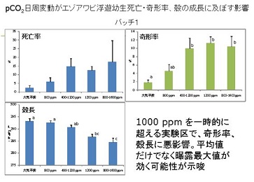 図　研究成果のイメージ