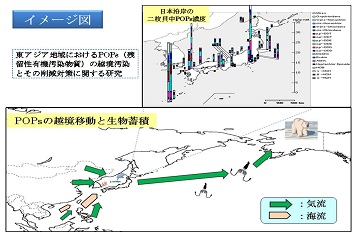 図　研究成果のイメージ