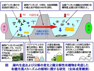 図　研究成果のイメージ