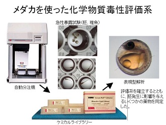 図　研究成果のイメージ