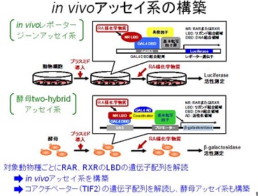 図　研究成果のイメージ