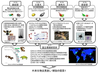 図　研究成果のイメージ