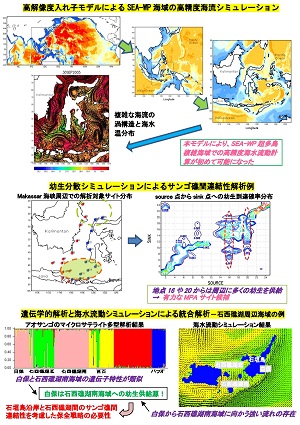 図　研究成果のイメージ