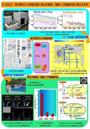 図　研究成果のイメージ