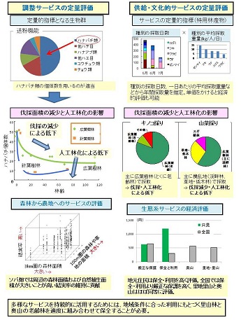 図　研究成果のイメージ