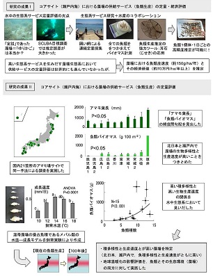 図　研究成果のイメージ