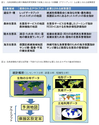 図　研究成果のイメージ