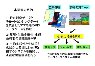 研究のイメージ