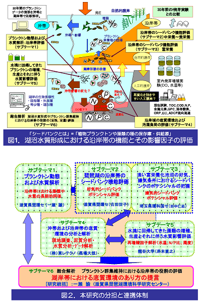 研究のイメージ