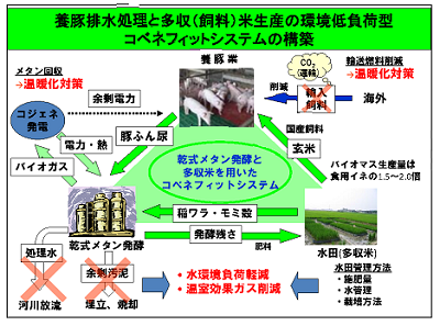 研究のイメージ