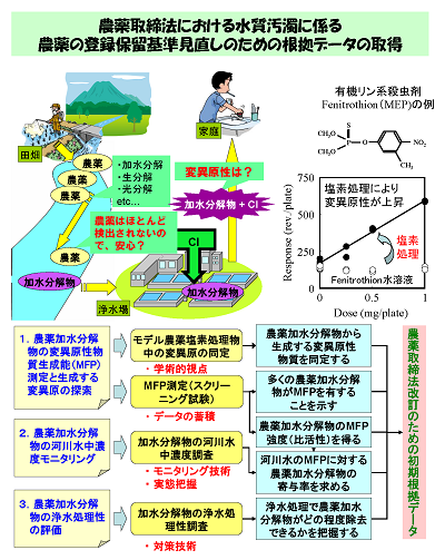 研究のイメージ