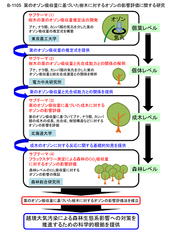 研究のイメージ