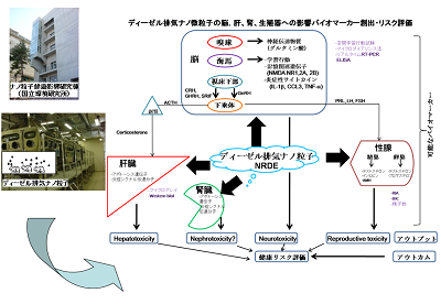 研究のイメージ