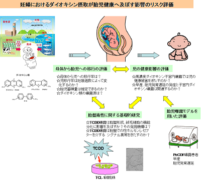 研究のイメージ