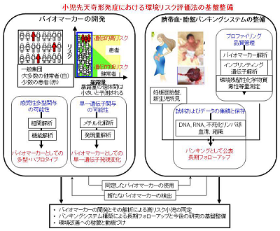 研究のイメージ