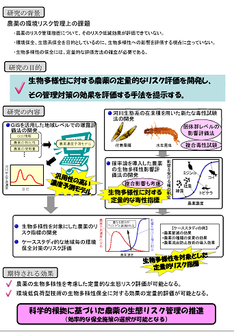 研究のイメージ