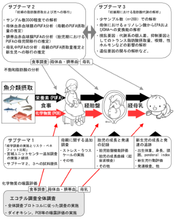 研究のイメージ