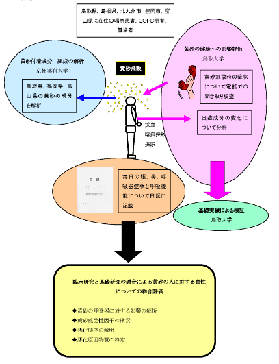 研究のイメージ