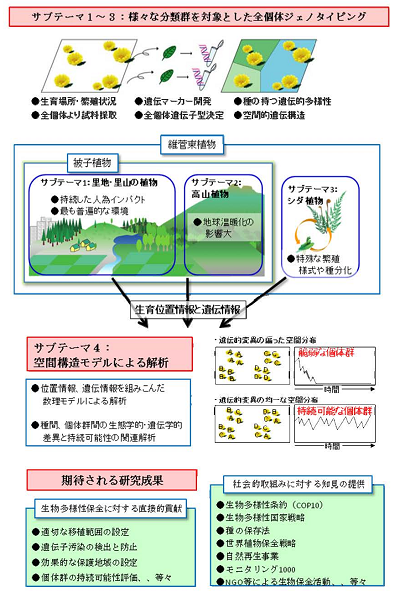 研究のイメージ